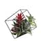 7" Green Artificial Succulent Arrangement in Offset Metal Wire Frame